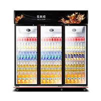 SLS-YX03  commercial refrigerated air cooling beverage cabinet
