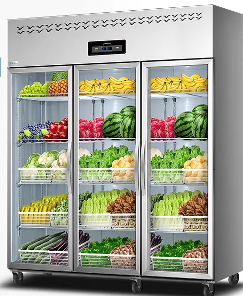 Two-Door Refrigerator