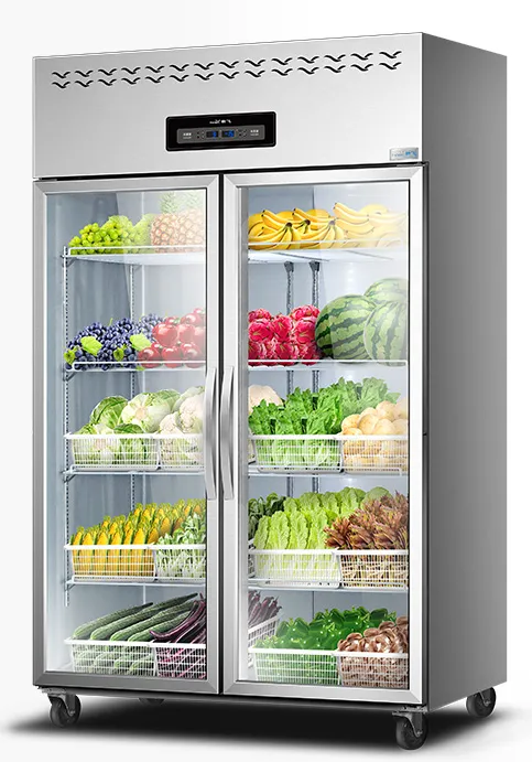 Two-Door Refrigerator