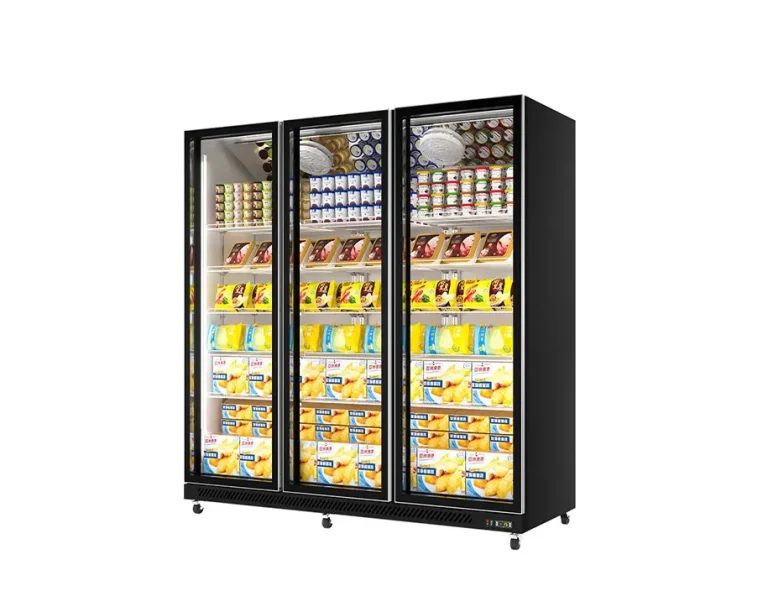 Commercial Upright Freezer: How to Choose the Right Commercial Reach-In Freezer for Your Business
